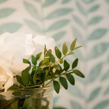 Bio Design Boutique St Georg 바트비제