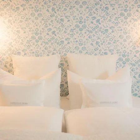 Отель Bio Design Boutique St Georg 3*